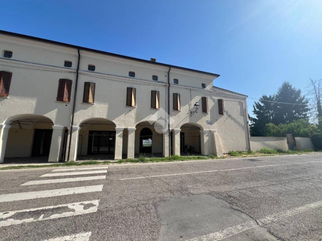 immagine annuncio 3 di 13