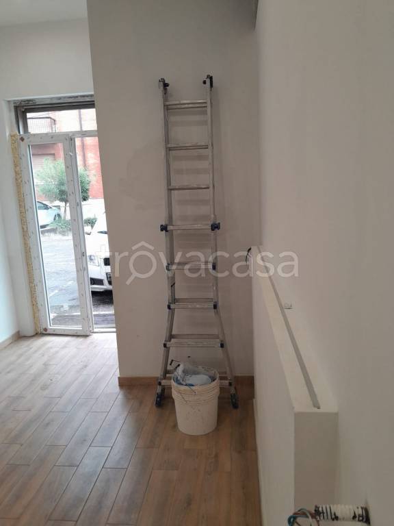 immagine annuncio 5 di 14