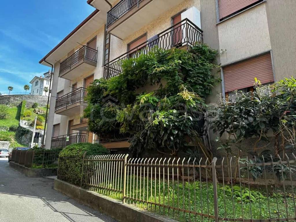 immagine annuncio 3 di 14