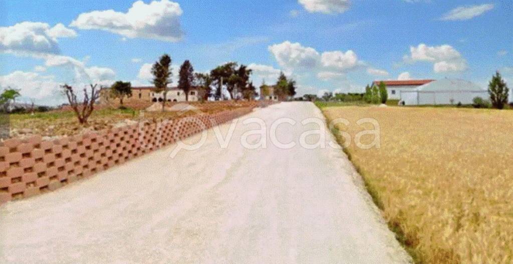 immagine annuncio 6 di 9