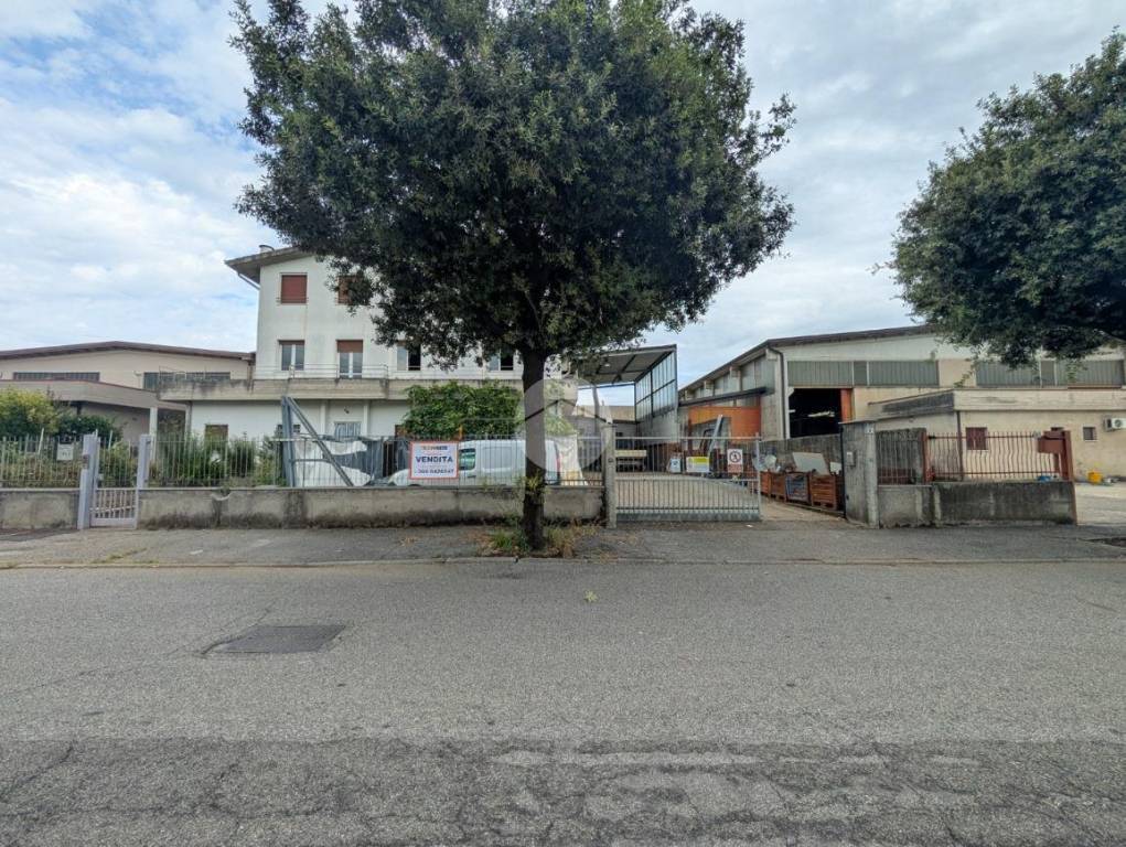 immagine annuncio 7 di 15