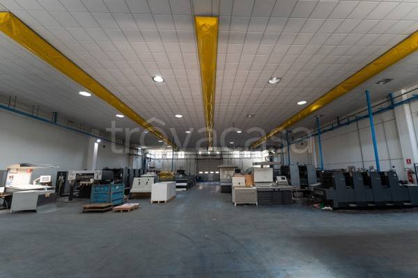 immagine annuncio 10 di 12