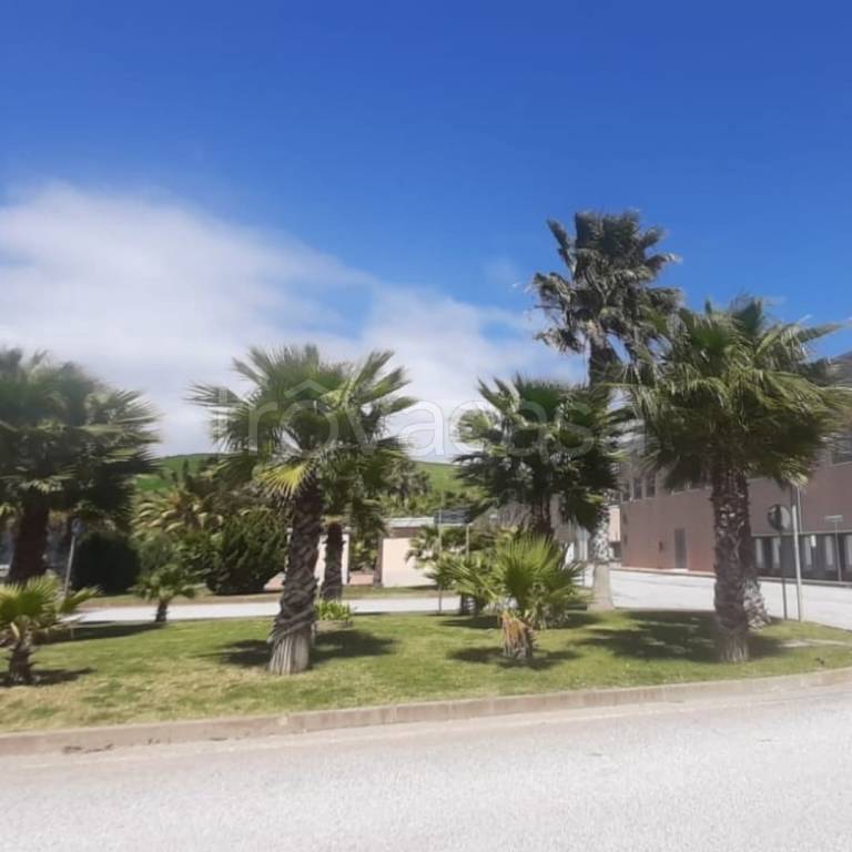 immagine annuncio 3 di 12