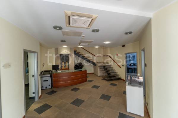 immagine annuncio 7 di 12