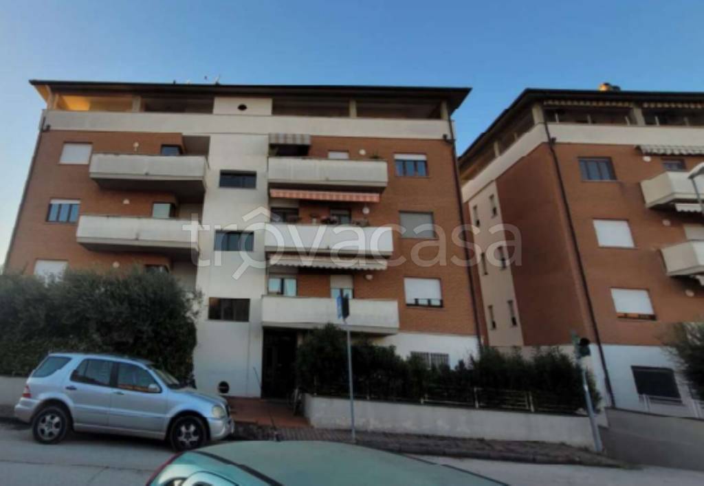 immagine annuncio 3 di 14