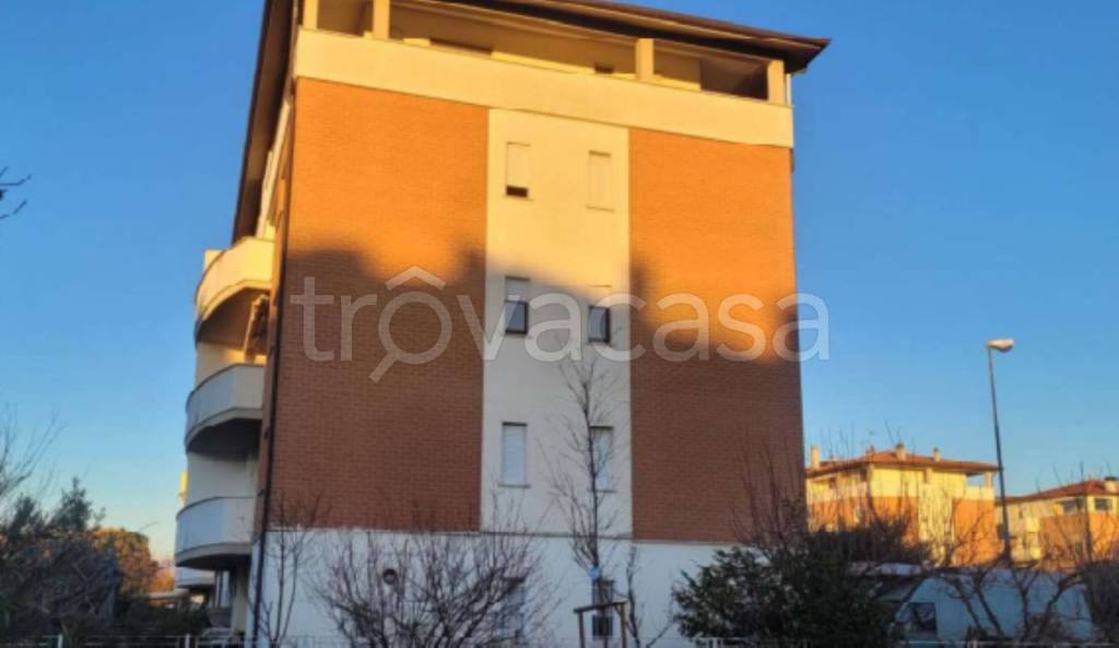 immagine annuncio 5 di 14