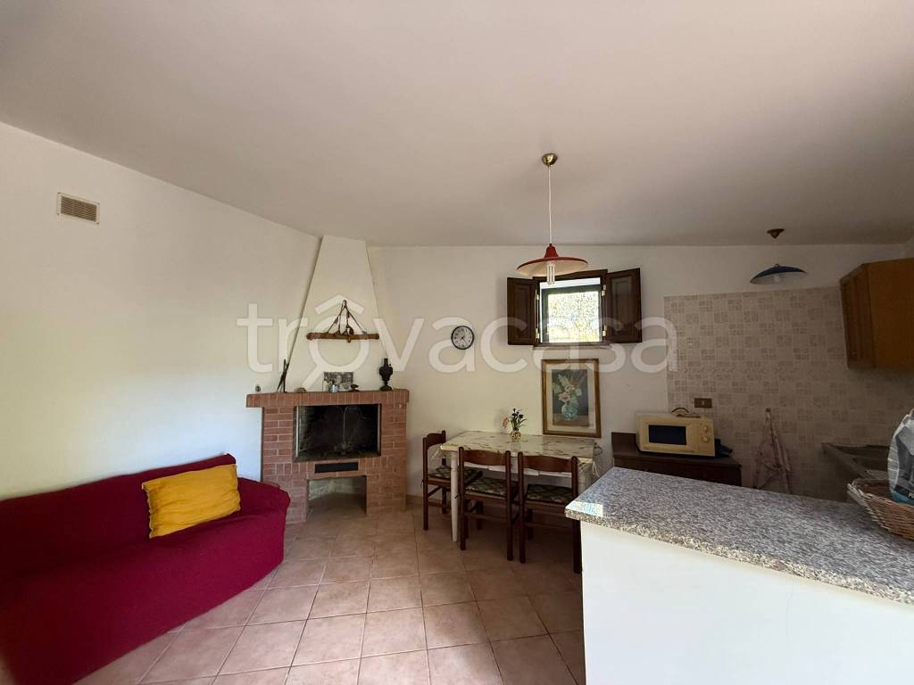 immagine annuncio 8 di 14