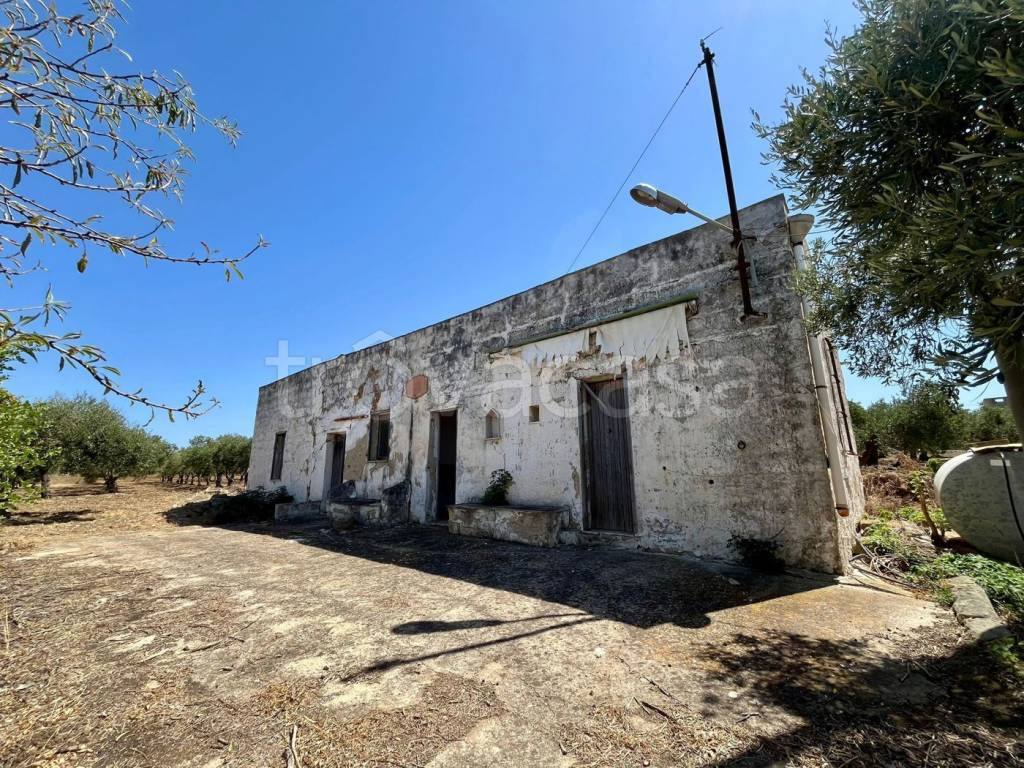 immagine annuncio 3 di 9