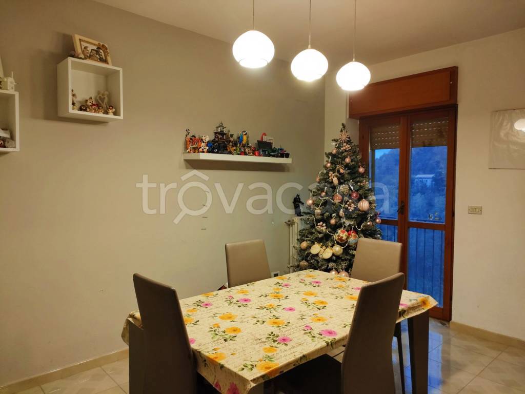 immagine annuncio 3 di 14