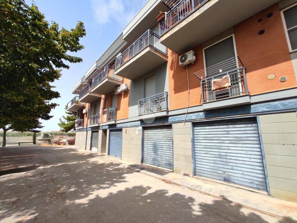 immagine annuncio 1 di 14