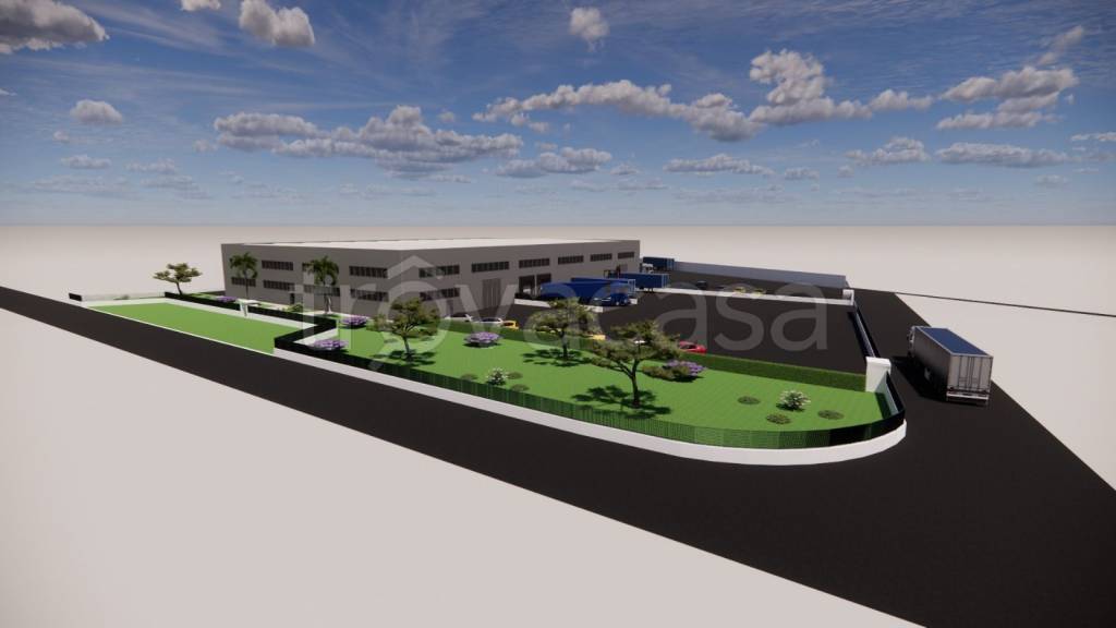 immagine annuncio 3 di 6