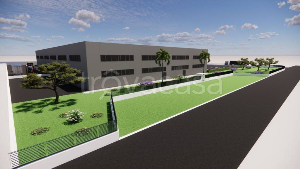 immagine annuncio 5 di 6