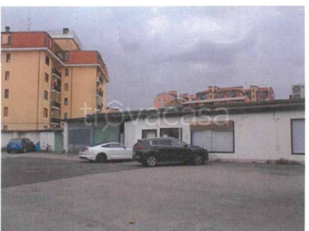 immagine annuncio 2 di 12