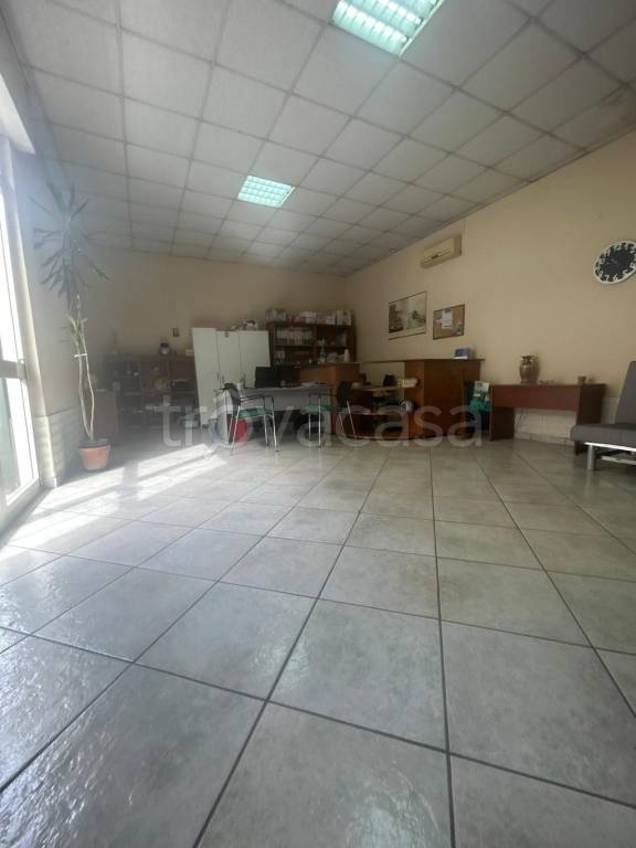 immagine annuncio 1 di 7