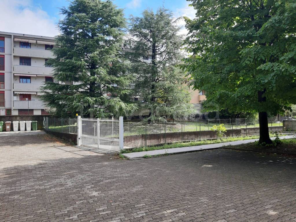 immagine annuncio 1 di 13