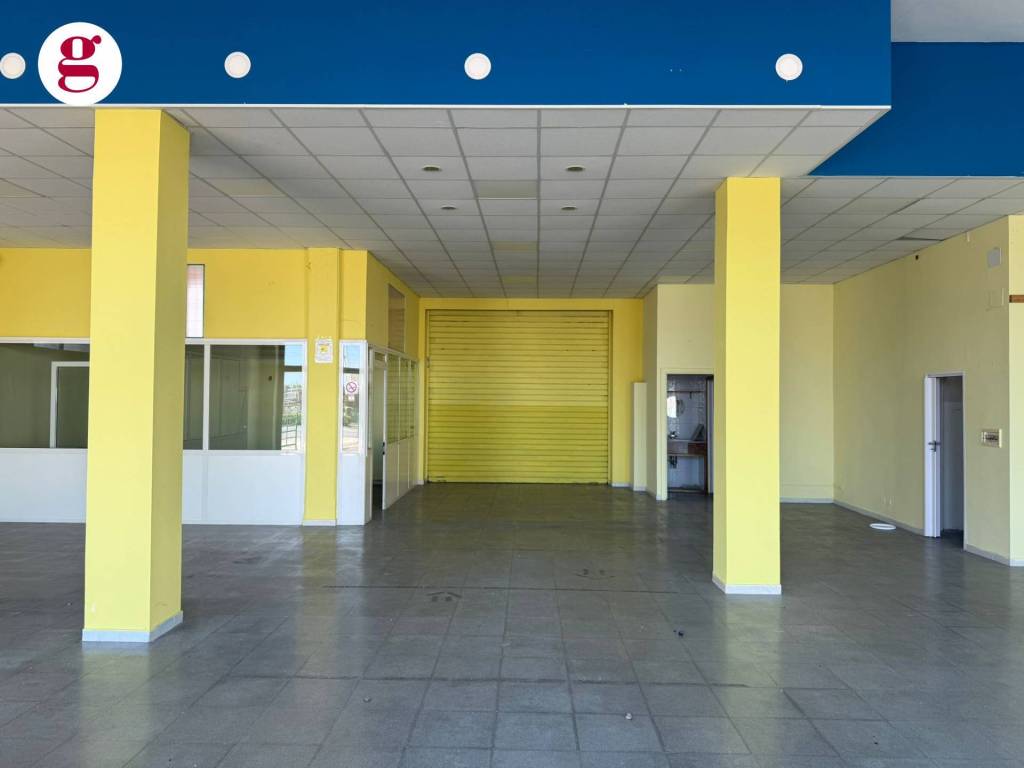 immagine annuncio 10 di 15