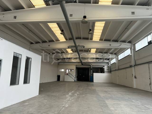 immagine annuncio 3 di 7