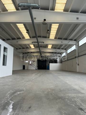 immagine annuncio 4 di 7