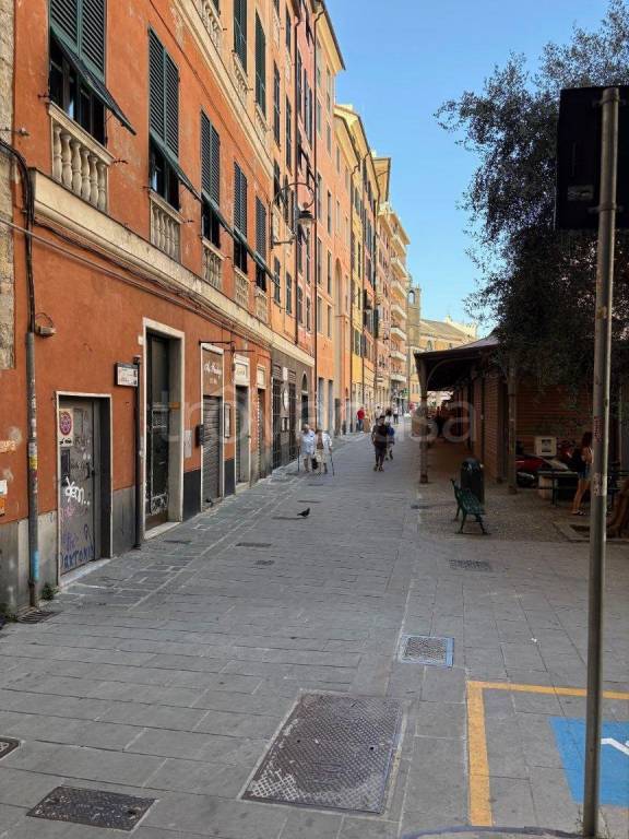 immagine annuncio 9 di 12