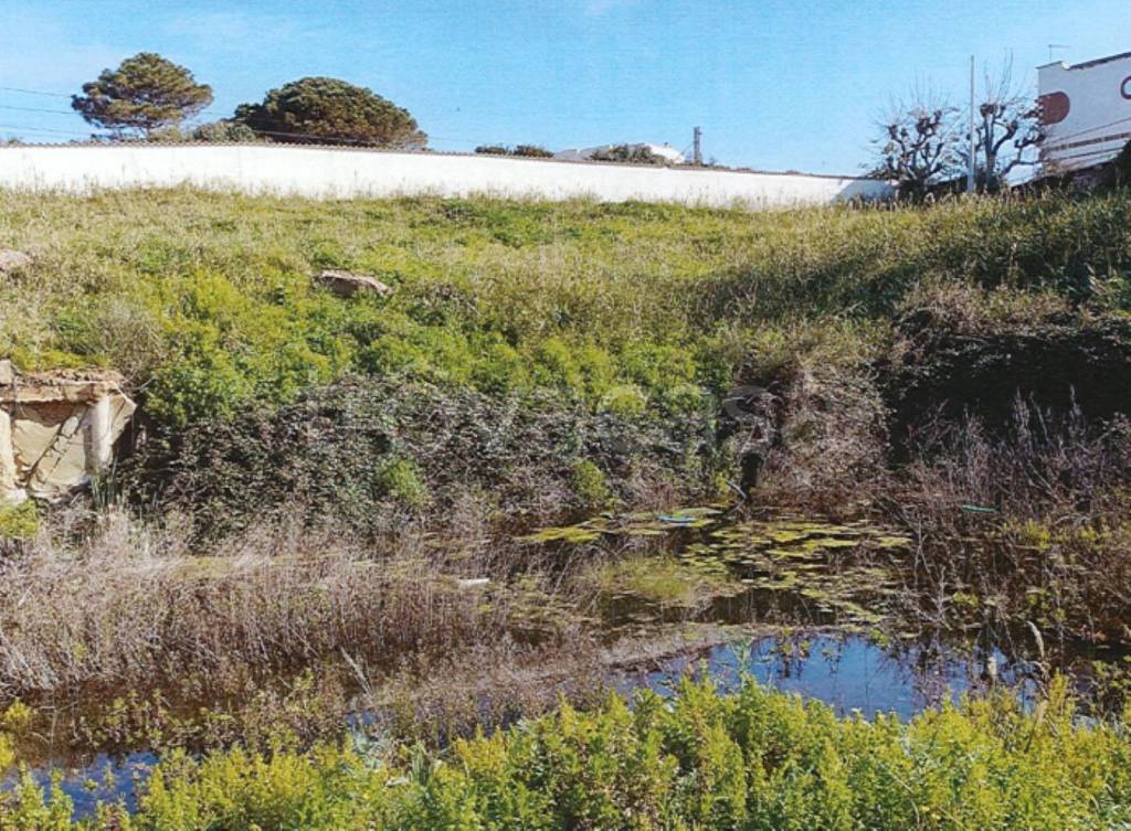 immagine annuncio 2 di 12