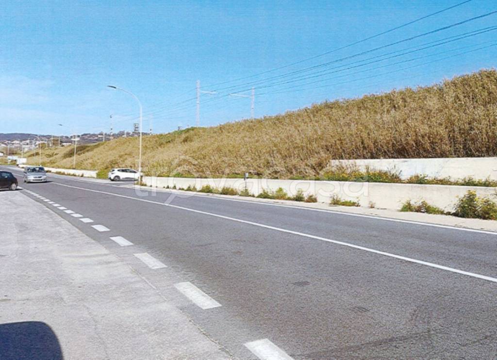 immagine annuncio 5 di 12