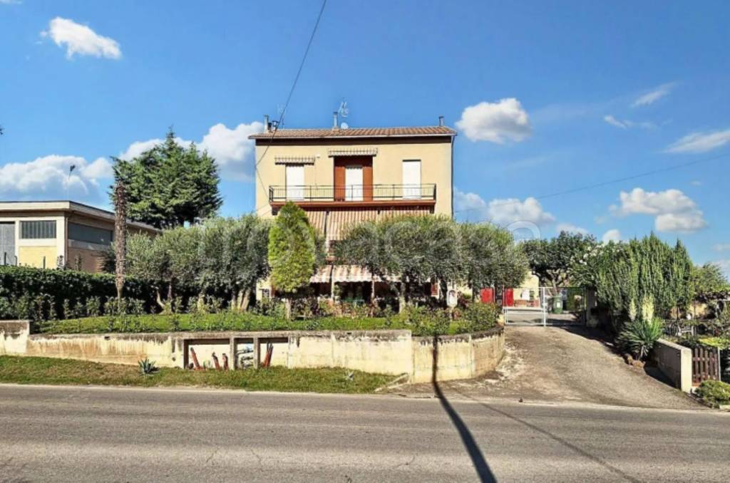 immagine annuncio 3 di 11