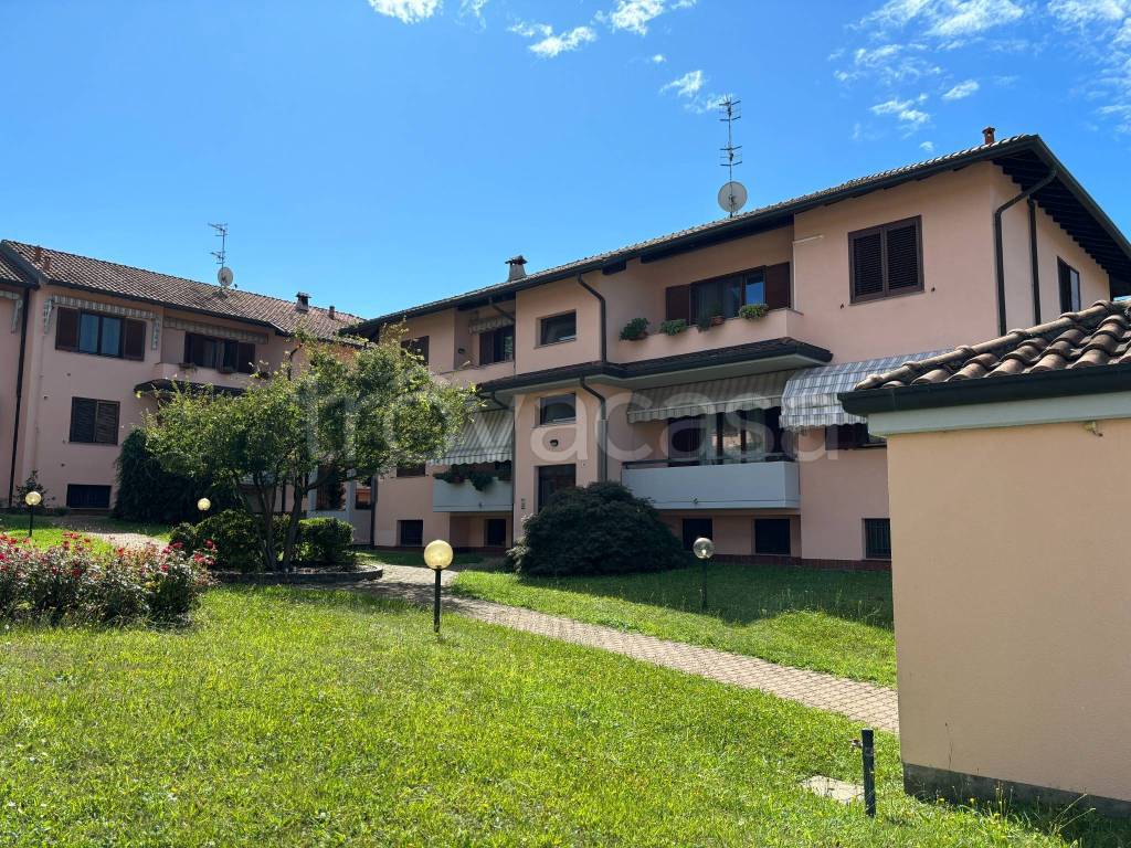 immagine annuncio 1 di 15