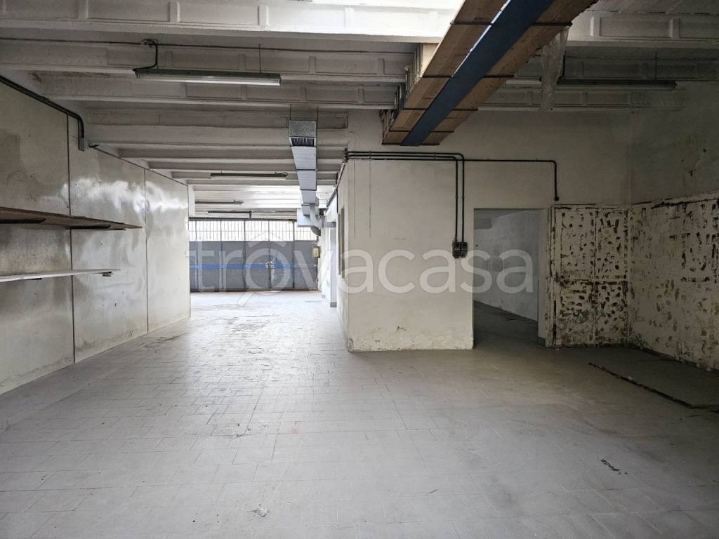 immagine annuncio 5 di 14