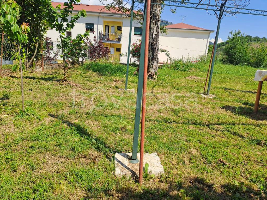 immagine annuncio 4 di 8