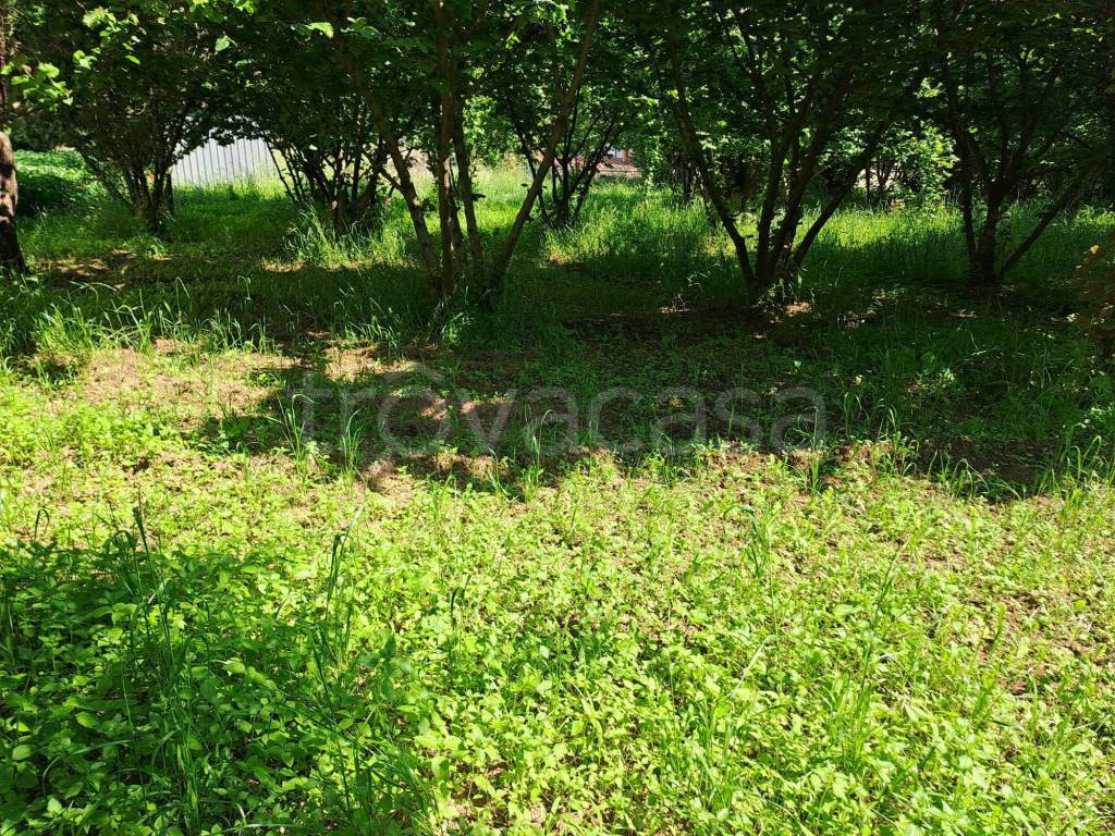 immagine annuncio 3 di 8