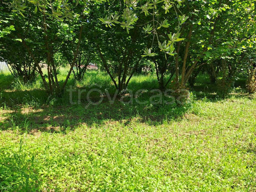 immagine annuncio 7 di 8