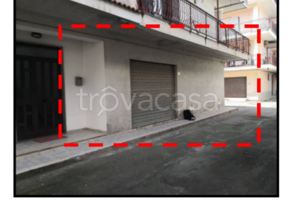 immagine annuncio 3 di 12