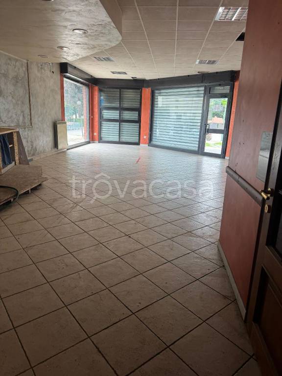 immagine annuncio 5 di 12