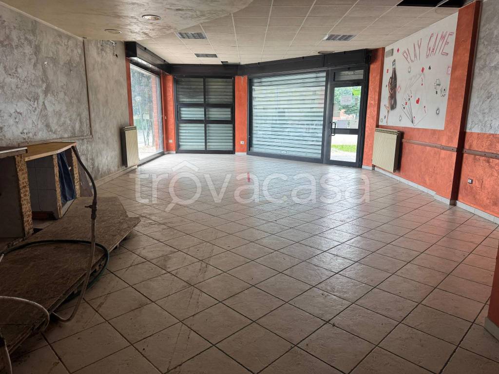 immagine annuncio 6 di 12