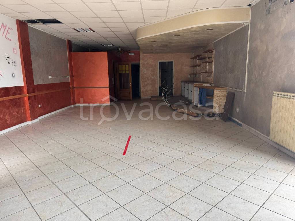 immagine annuncio 9 di 12