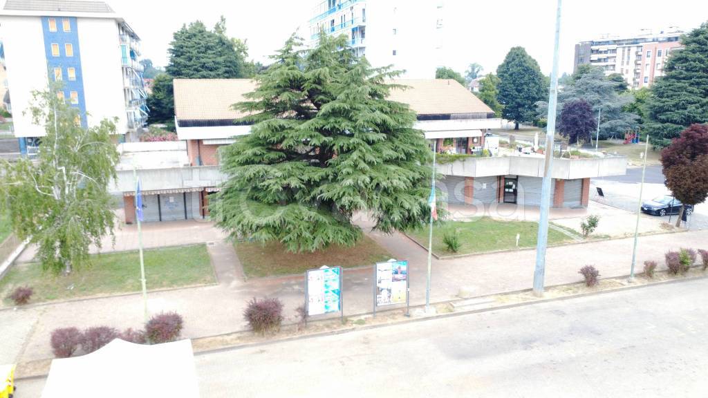 immagine annuncio 10 di 12