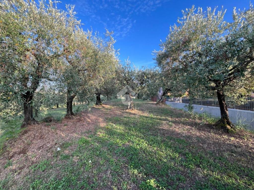immagine annuncio 6 di 11