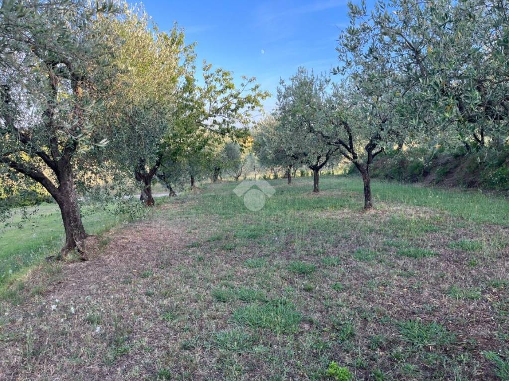 immagine annuncio 8 di 11