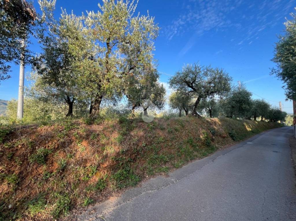 immagine annuncio 9 di 11