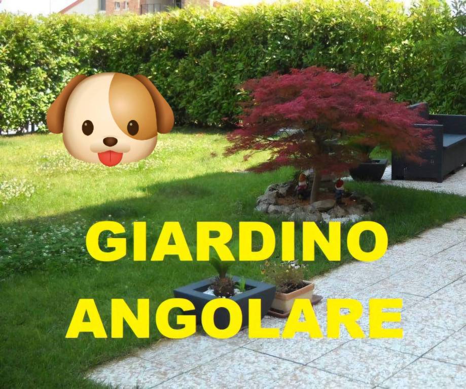 immagine annuncio 2 di 12