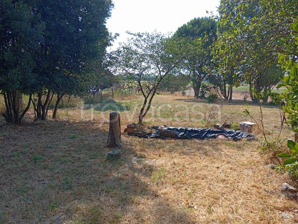 immagine annuncio 4 di 12