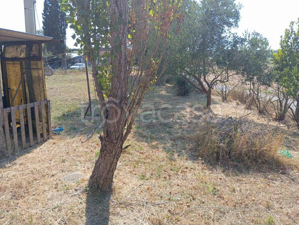 immagine annuncio 6 di 12