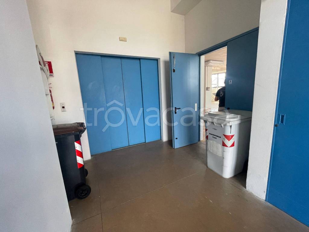 immagine annuncio 6 di 12
