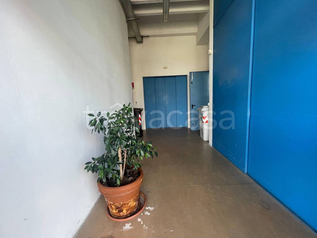 immagine annuncio 8 di 12