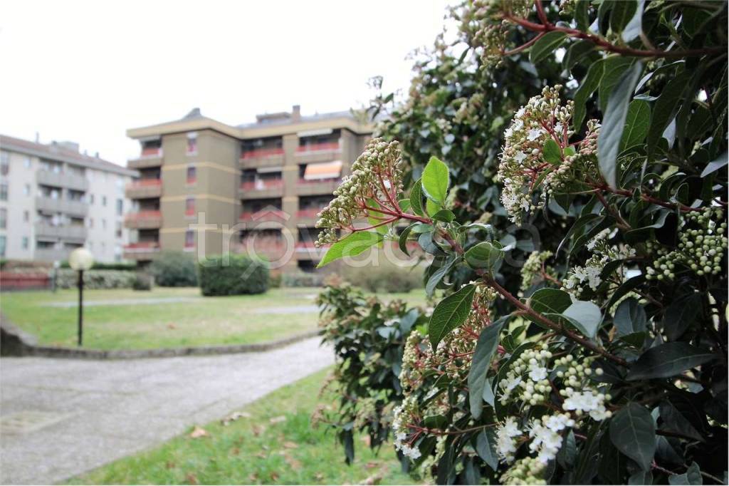 immagine annuncio 2 di 14