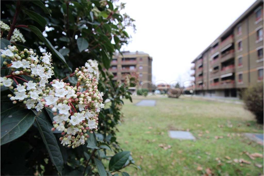 immagine annuncio 3 di 14