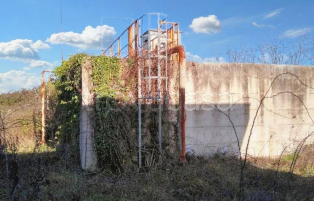 immagine annuncio 6 di 11