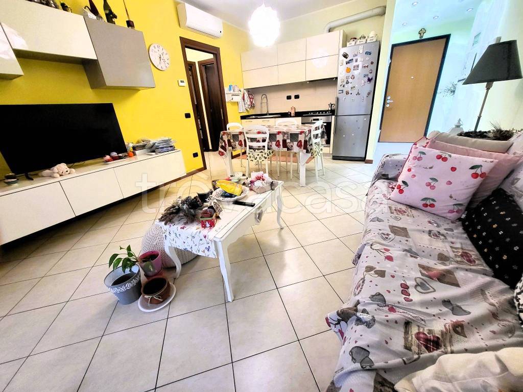 immagine annuncio 6 di 15