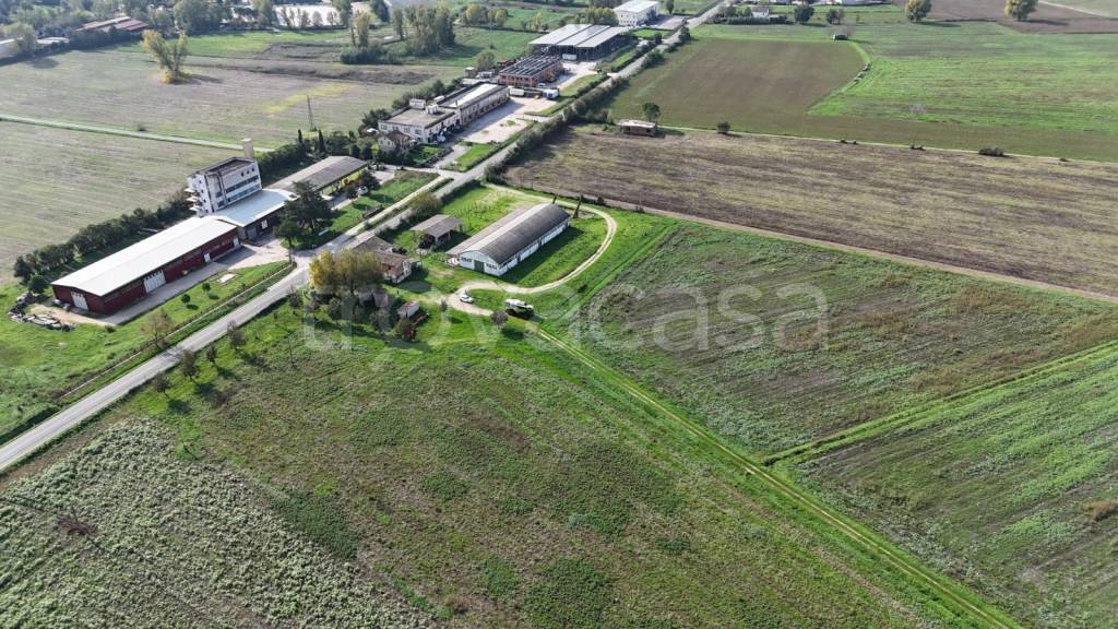 immagine annuncio 7 di 14