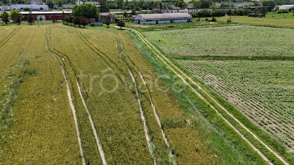 immagine annuncio 13 di 14